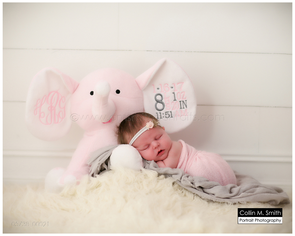 © Collin M. Smith Portrait Photography www.cmsmithportraits.com/blog